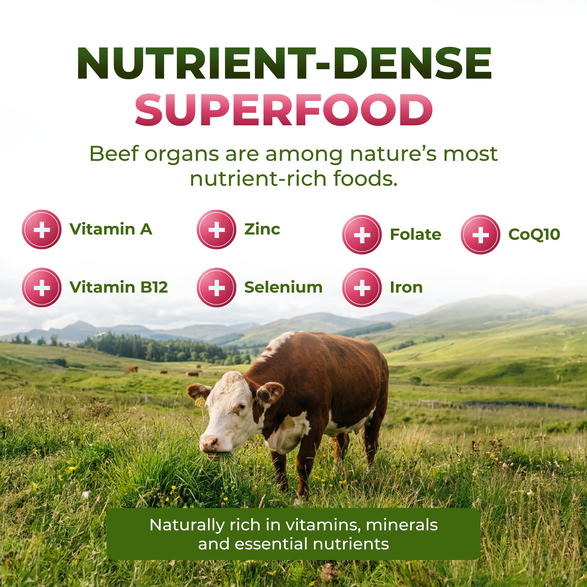 ForestLeaf Women's Beef Organ Complex ingredients list