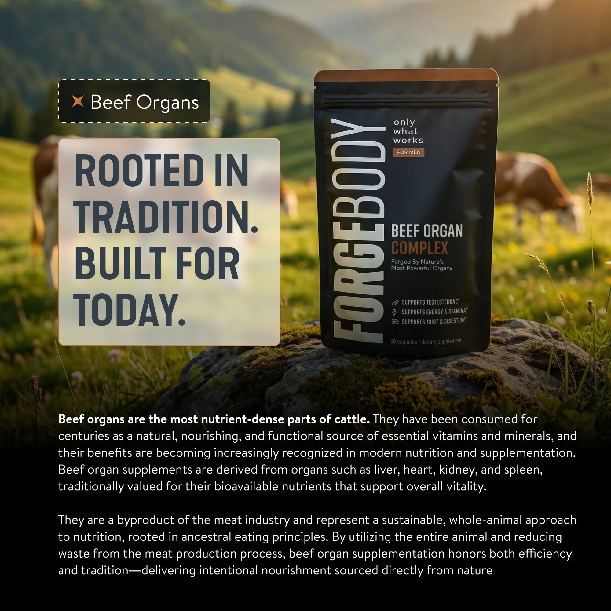 FORGEMEN Organ Complex Liver Extract Capsules packaging details