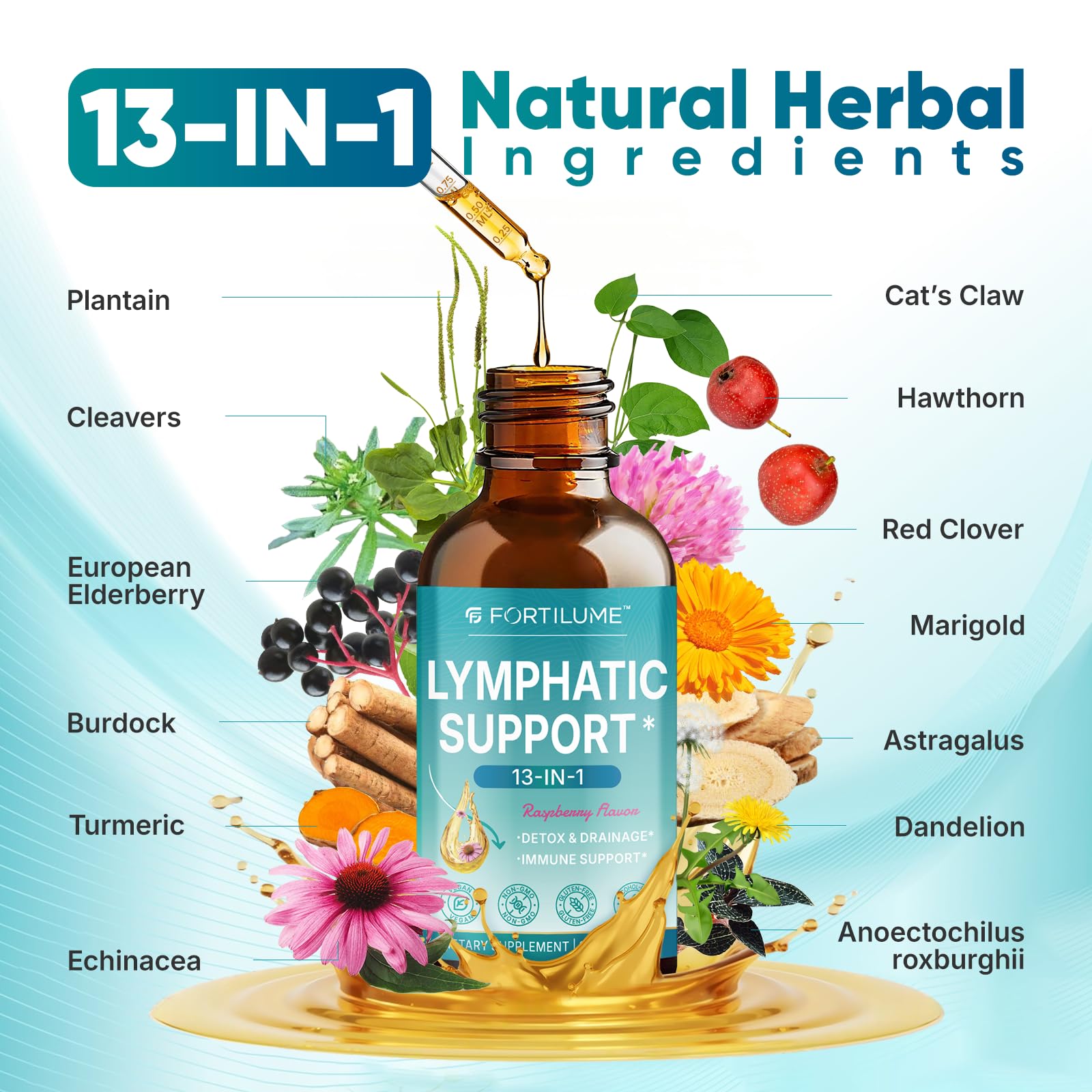 FORTILUME Echinacea Herbal Drops measurement dropper