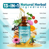 FORTILUME Echinacea Herbal Drops measurement dropper
