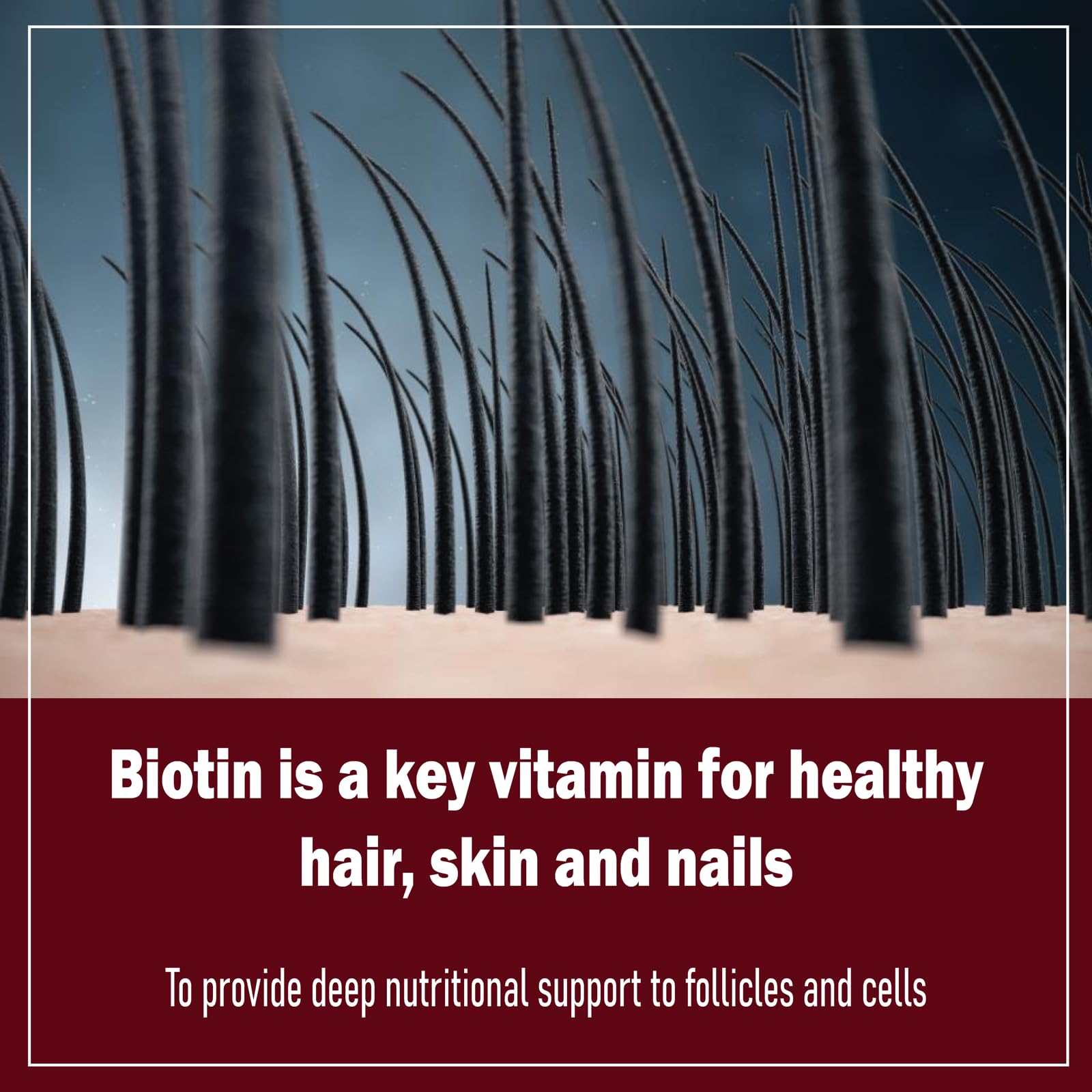 FORTIRISE Daily Hair Gummies side view with nutritional information