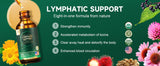 FOTN Organic Echinacea Lymphatic Drainage Supplement drops on a spoon