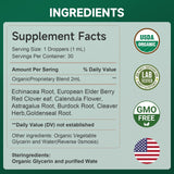 FOTN Organic Echinacea Lymphatic Drainage Supplement herbal blend