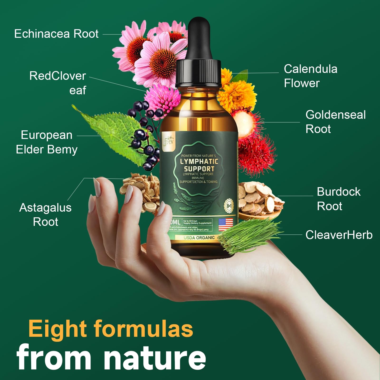 FOTN Organic Echinacea Lymphatic Drainage Supplement liquid drops