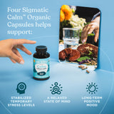 Four Sigmatic Calm Capsules back view with ingredient list