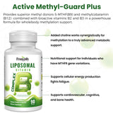 Franguly Liposomal B Complex Plus Choline Inositol softgels in hand
