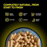 FRIEND OF DOROTHY BOTTOM Psyllium Husk Capsules on a wooden table