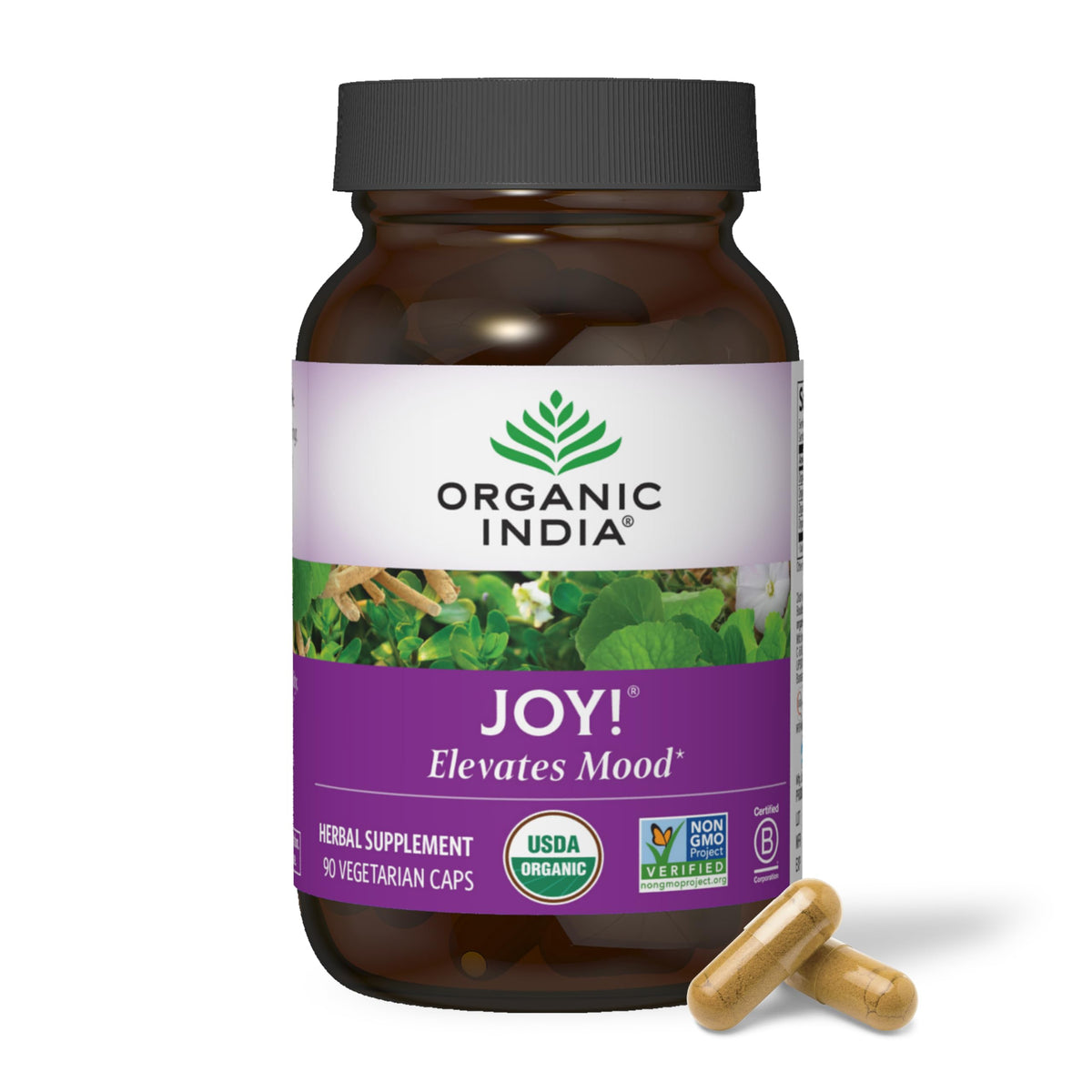 Front view of ORGANIC INDIA Joy! Organic Bacopa Monnieri 90 Vcaps