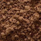 Frontier Co-op Saw Palmetto Berries Powder powder texture close-up