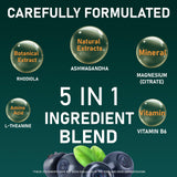 Fruitoday Cortisol Support Gummies with a hand holding one
