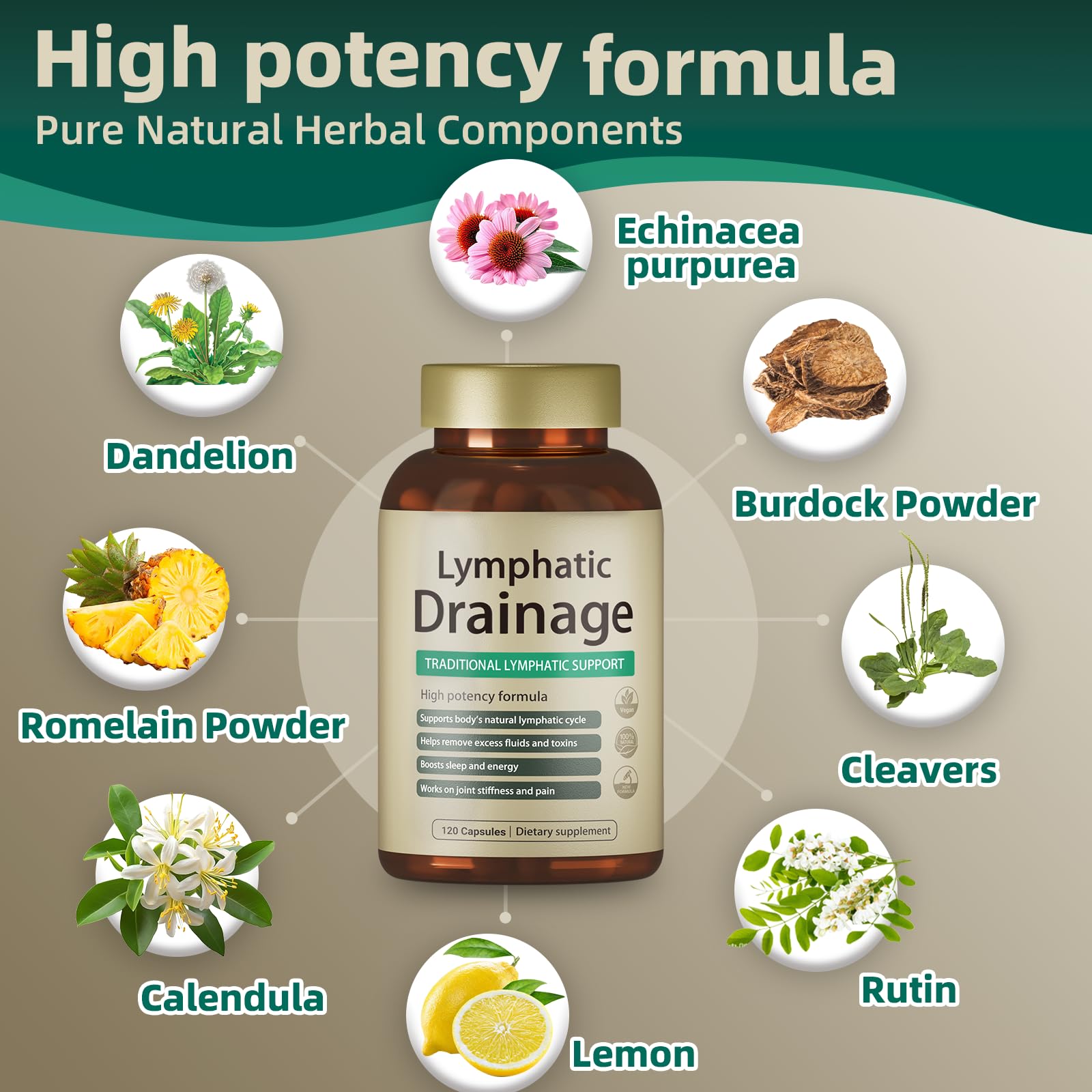 FRZVEO Echinacea Capsules bottle with label
