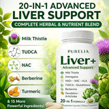 Fsmtpdam Advanced Liver Support bottle with label