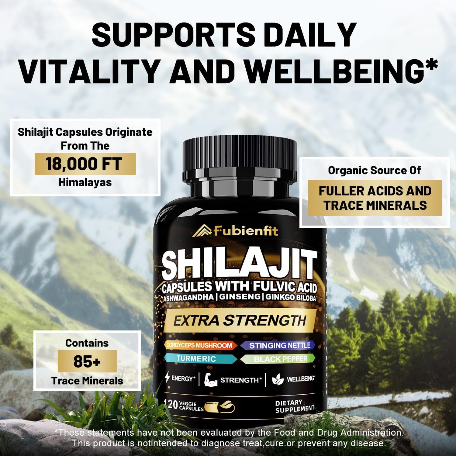 Fubienfit Shilajit Capsules close-up of capsules