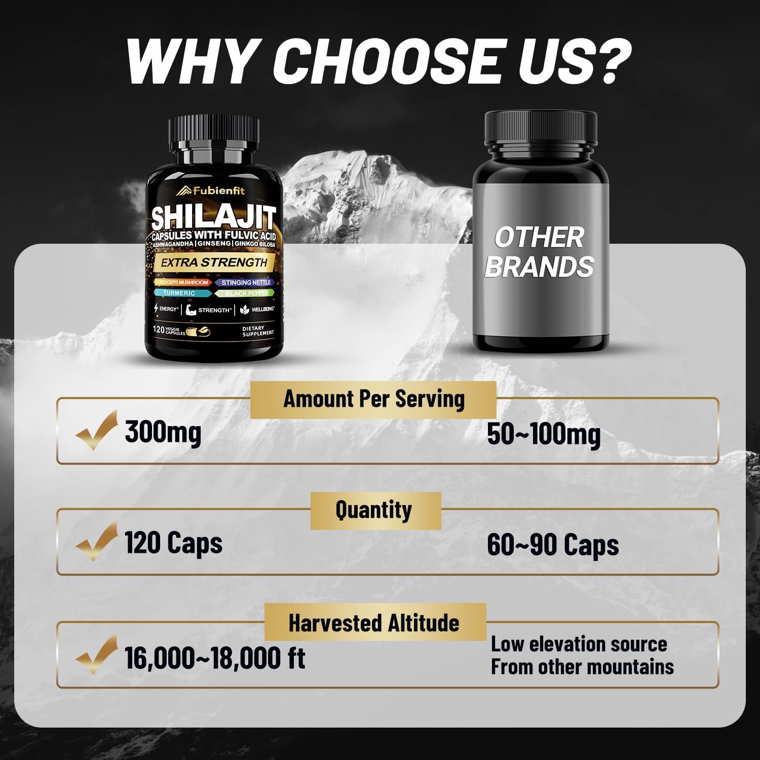 Fubienfit Shilajit Capsules with herbal background