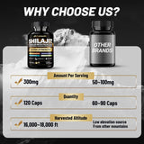 Fubienfit Shilajit Capsules with herbal background