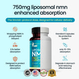 Fuel NMN Supplement 750mg Liposomal Delivery Capsules side view