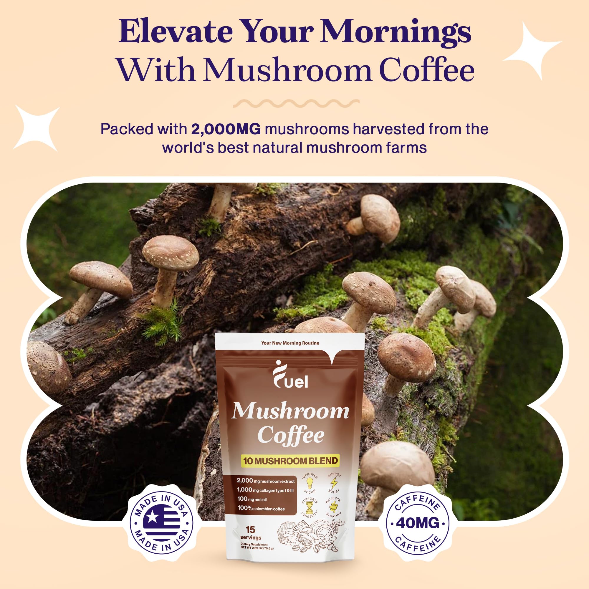 Fuel Organic Mushroom Coffee with a smoothie