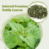 FullChea Nettle Leaf Tea Bags inside the pack