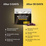 FULLY NUTRITION 16 in 1 Mushroom Gummies lifestyle shot