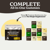 FULLY NUTRITION 16 in 1 Mushroom Gummies packaging