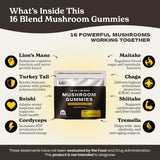 FULLY NUTRITION 16 in 1 Mushroom Gummies side view