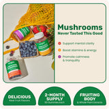 Fungies Superfood Mushroom Gummy Bundle Lion's Mane gummies close-up