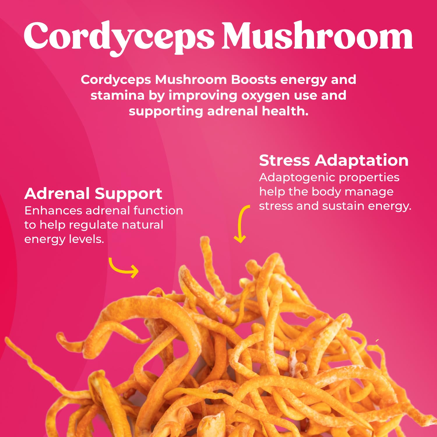 Fungiments Cordyceps Mushroom Complex bottle with label