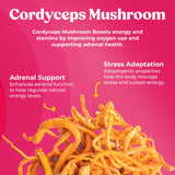 Fungiments Cordyceps Mushroom Complex bottle with label