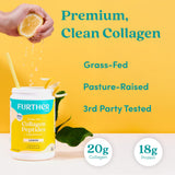 Further Food Collagen Peptides Powder in a glass of water