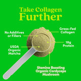 Further Food Collagen Supplement scoop with powder on a wooden table