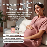 Future Kind Vegan Prenatal Vitamins capsules in a hand