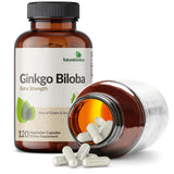 Futurebiotics Ginkgo Biloba 500mg back label with ingredients
