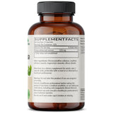 Futurebiotics Ginkgo Biloba capsules close-up