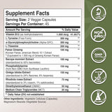 GADE NUTRITION Alpha-GPC Capsules with ingredients