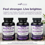 GADE NUTRITION Quercetin with Bromelain & Elderberry nutrition facts