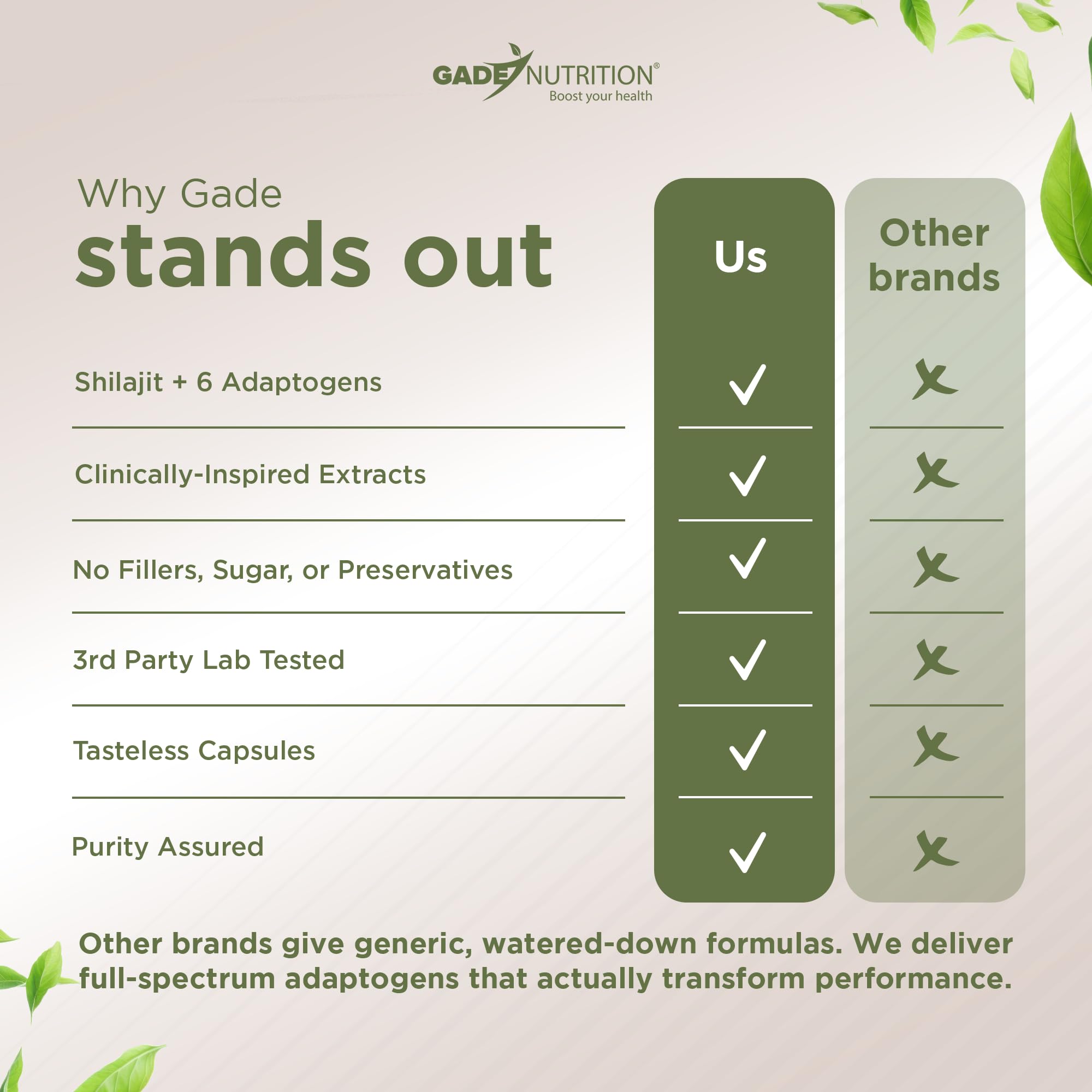 GADE NUTRITION support YOUR HEALTH Shilajit with Ashwagandha Capsules close-up