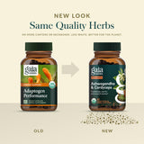 Gaia Herbs Adaptogen Performance 136g herbal supplement with green leaves