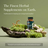 Gaia Herbs Adaptogen Performance 136g supplement bottle side view