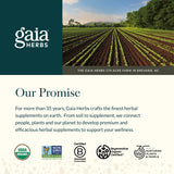 Gaia Herbs Adaptogen Performance 136g supplement with measuring spoon