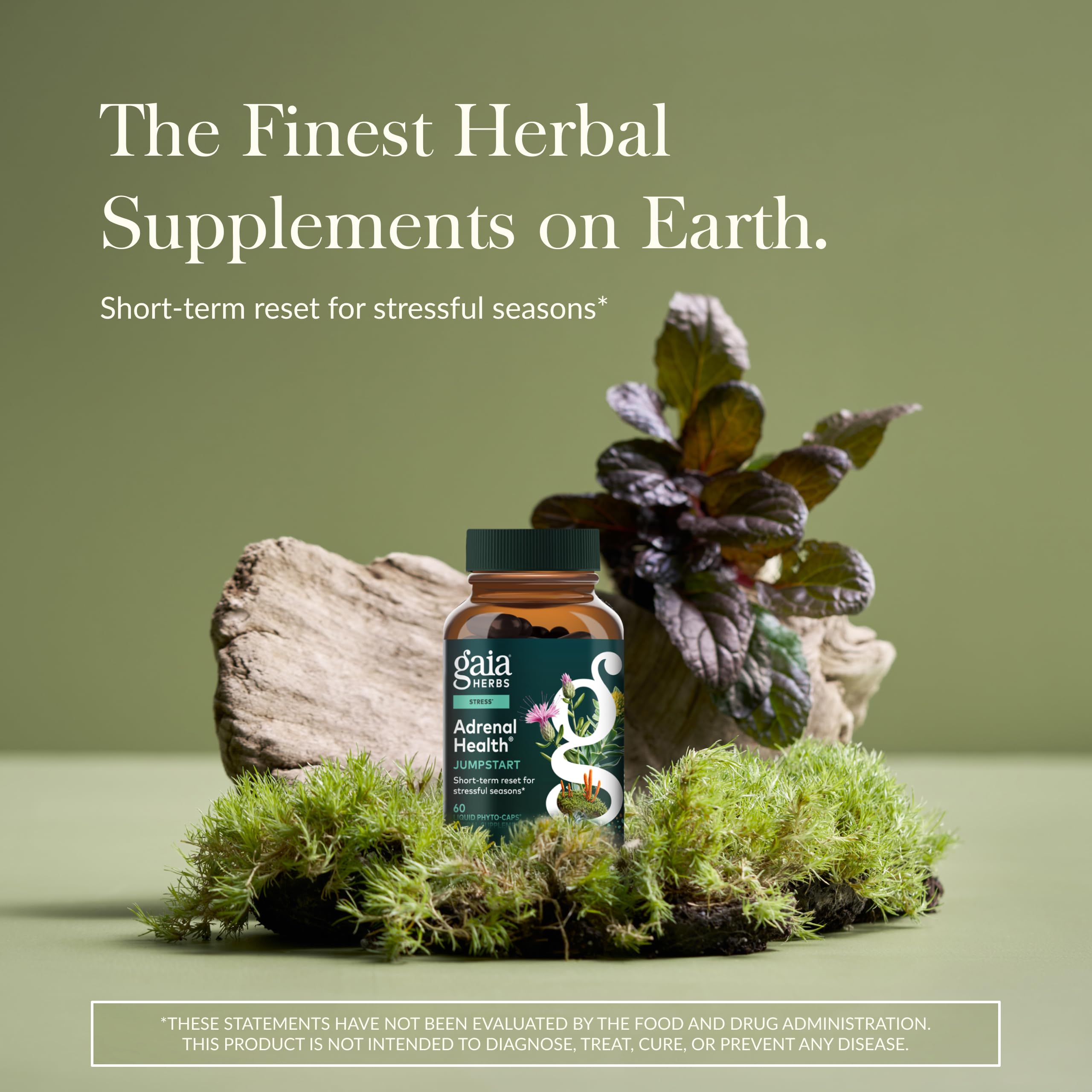 Gaia Herbs Adrenal Health Jumpstart back view of packaging
