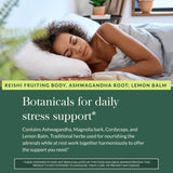 Gaia Herbs Adrenal Health Nightly Restore back view of packaging