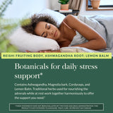 Gaia Herbs Adrenal Health Nightly Restore capsules on a spoon
