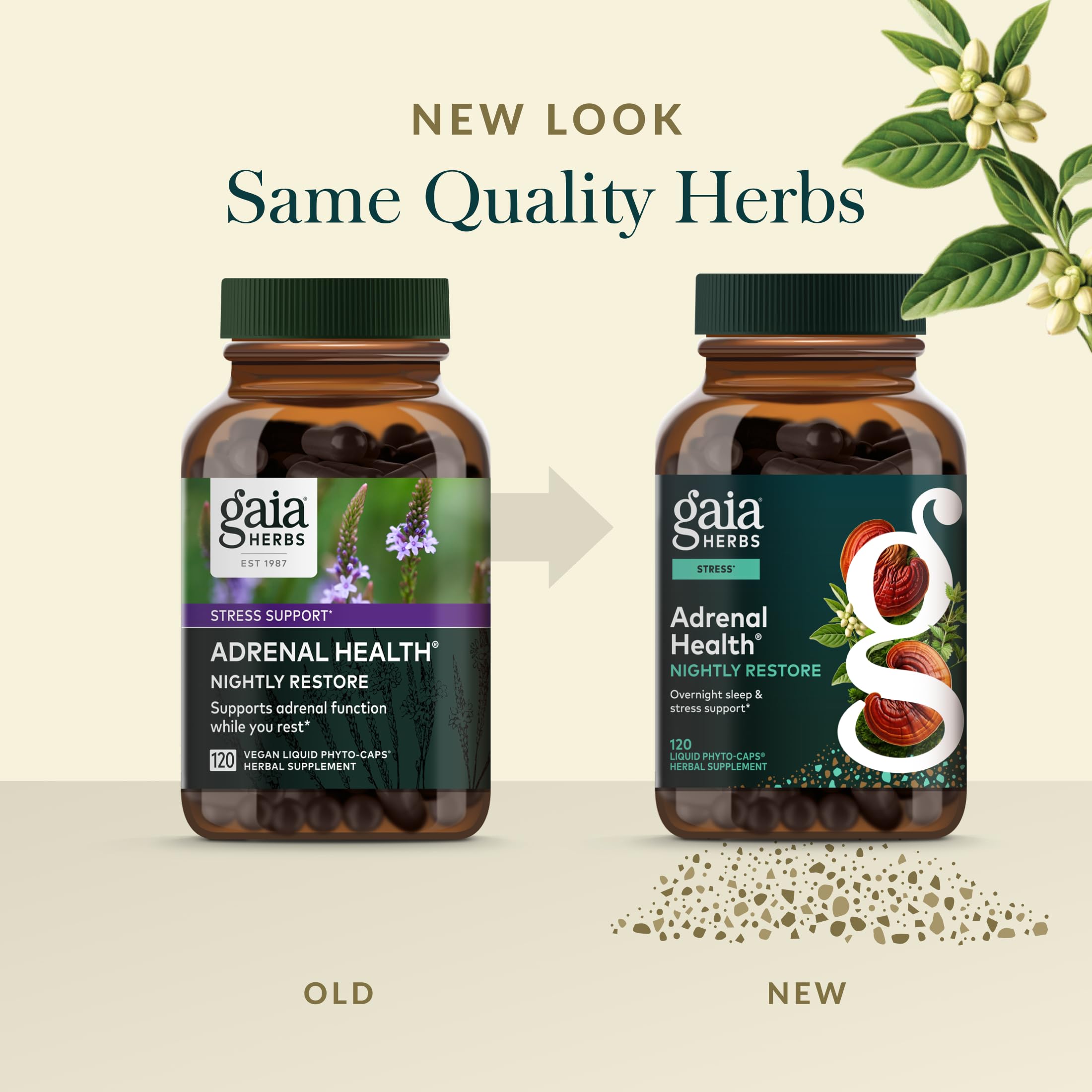 Gaia Herbs Adrenal Health Nightly Restore lifestyle scene with supplements