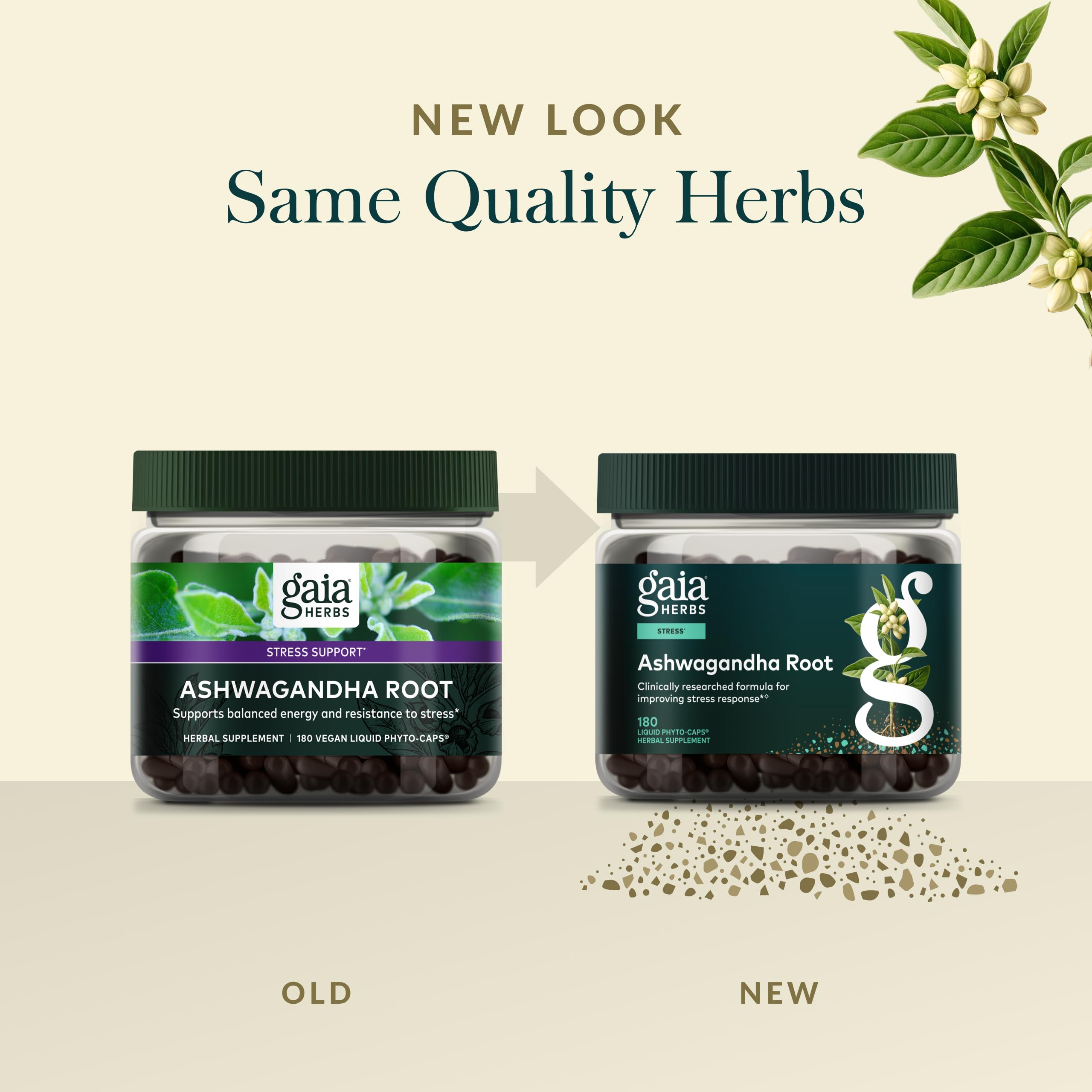 Gaia Herbs Ashwagandha Capsules on wooden table