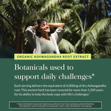 Gaia Herbs Ashwagandha Capsules with ingredients list