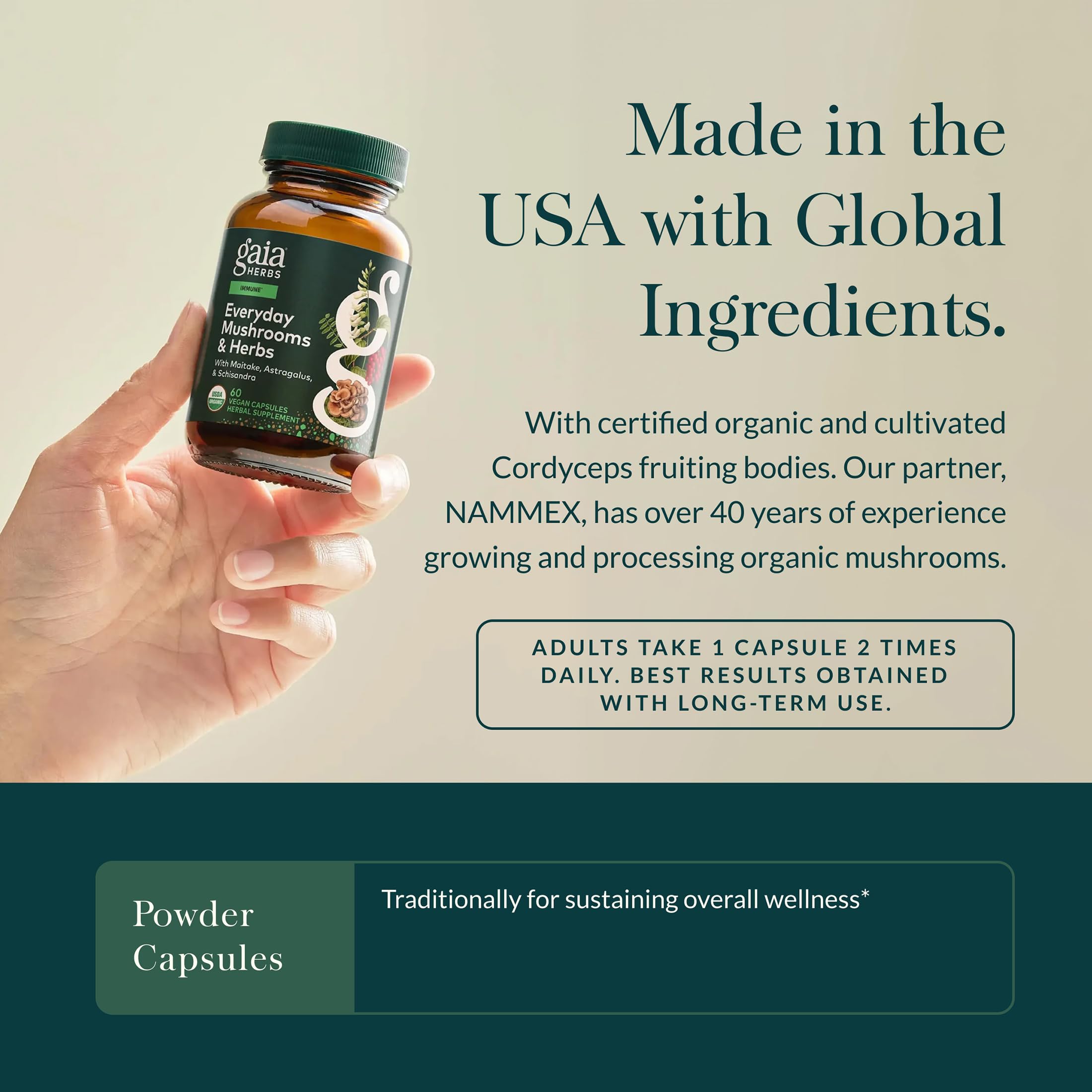 Gaia Herbs Astragalus Daily Wellness Support Supplement capsules