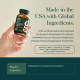 Gaia Herbs Astragalus Daily Wellness Support Supplement capsules