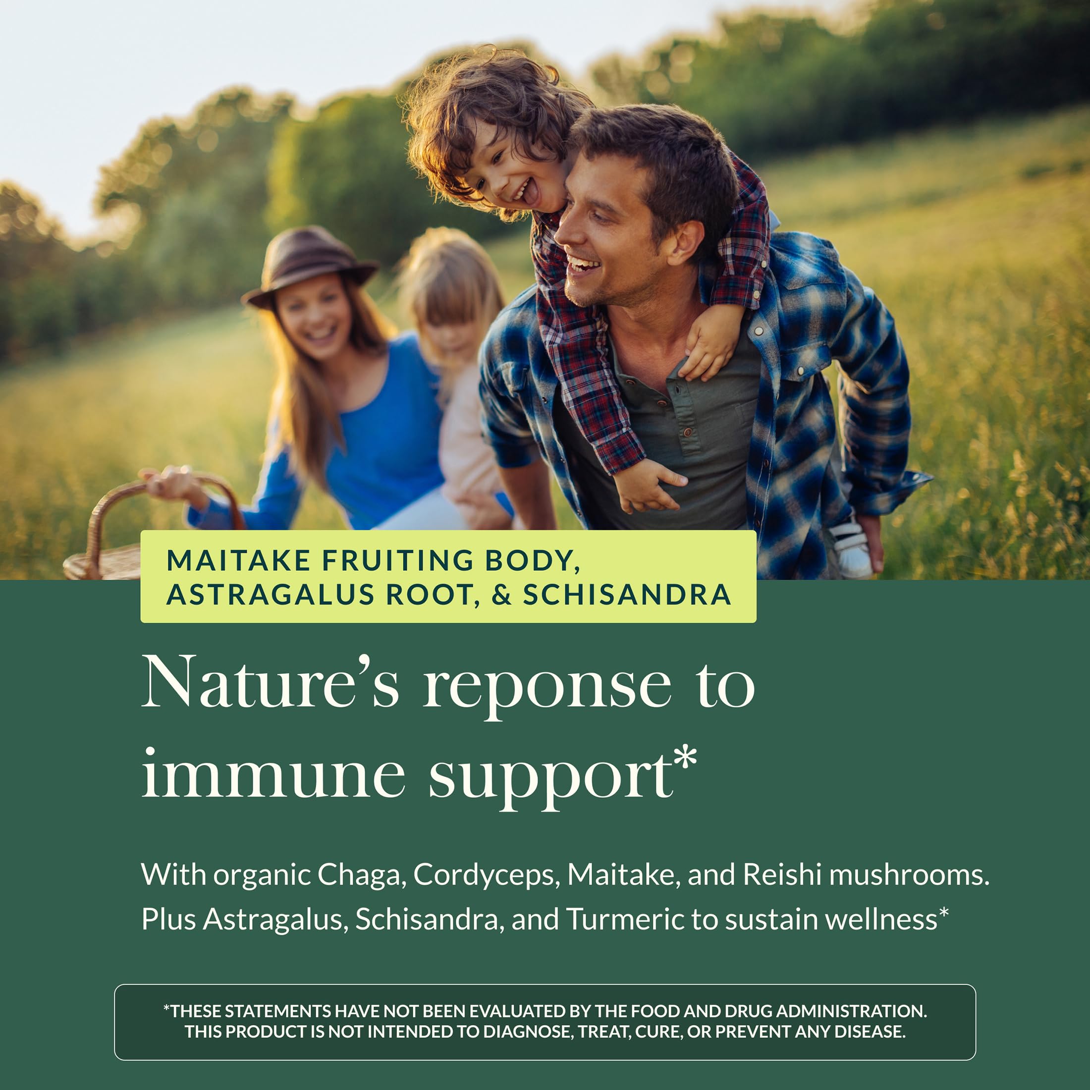 Gaia Herbs Astragalus Daily Wellness Support Supplement ingredients list