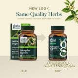 Gaia Herbs Astragalus Herbal Supplement with schisandra berry