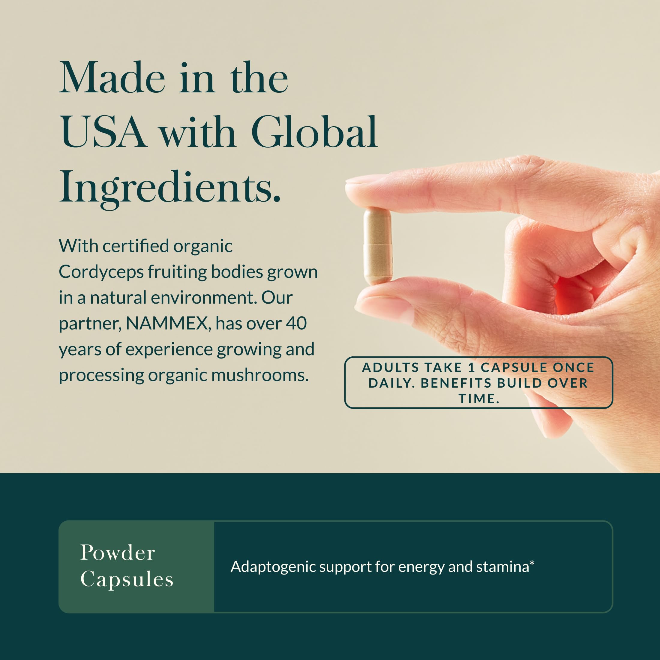 Gaia Herbs Cordyceps Mushroom Extract supplement packaging